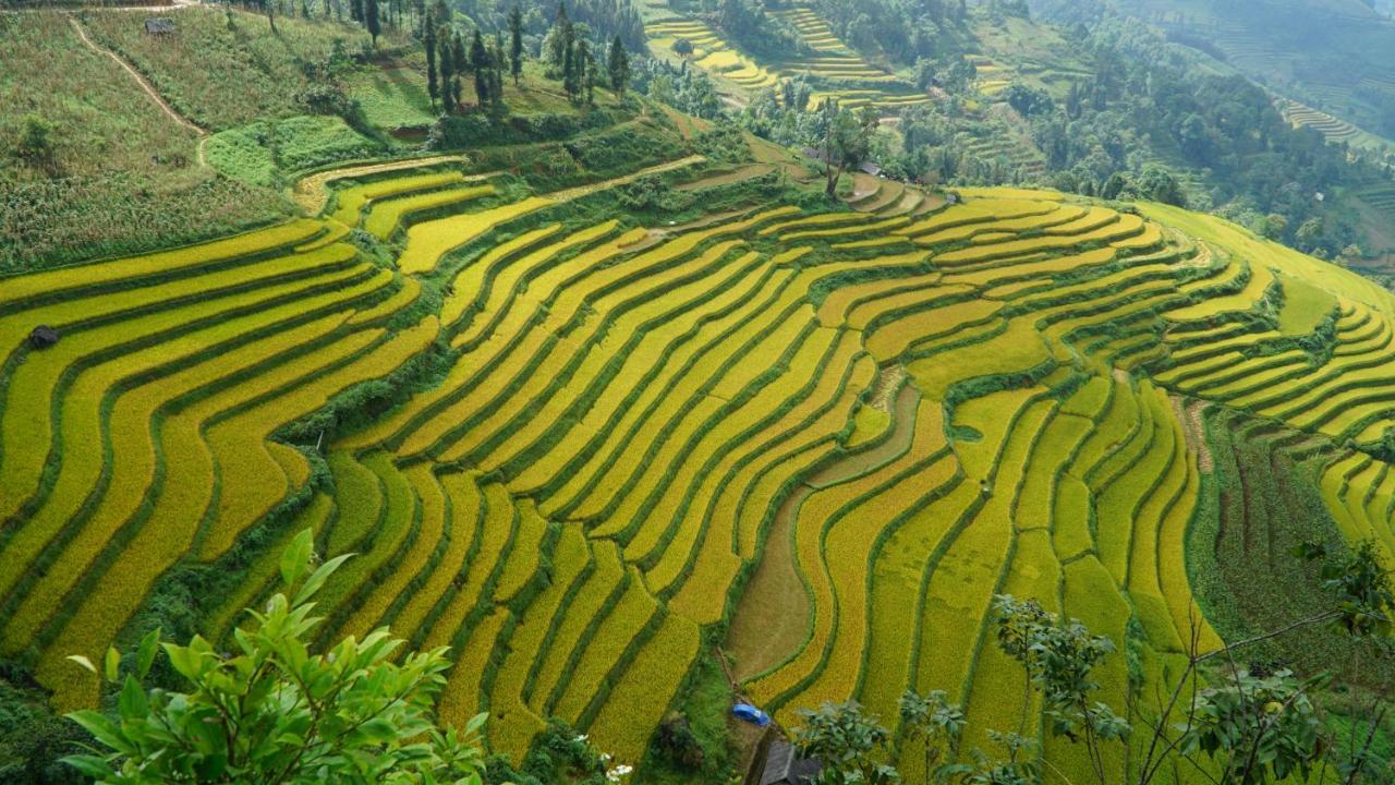 Huy Trung Homestay Bac Ha  Exteriör bild